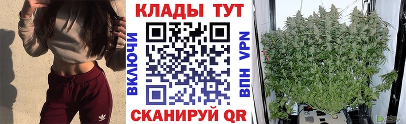 Купить закладку Канабис  СОЛЬ  ГАШ  МЕФ  Кокаин  Пустошка