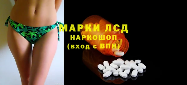 ГАЛЛЮЦИНОГЕННЫЕ ГРИБЫ Горно-Алтайск