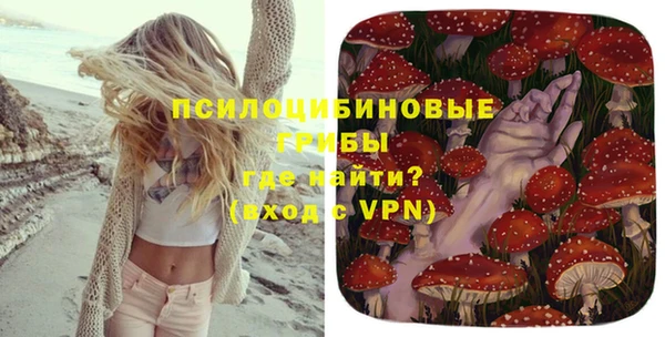 ГАЛЛЮЦИНОГЕННЫЕ ГРИБЫ Горно-Алтайск