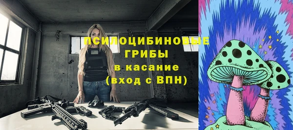 первитин Горняк