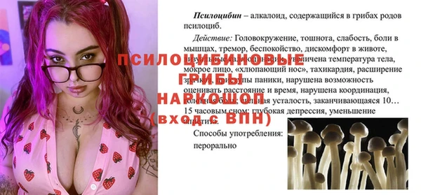 первитин Горняк