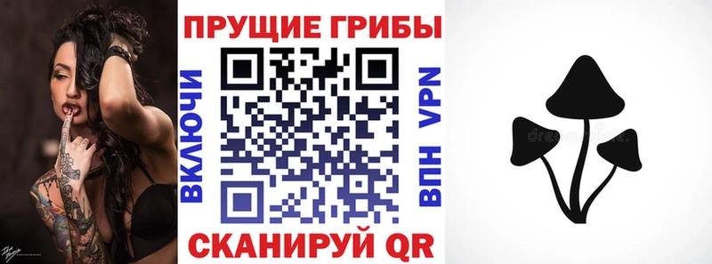 Галлюциногенные грибы Cubensis  Купить где  Пустошка 
