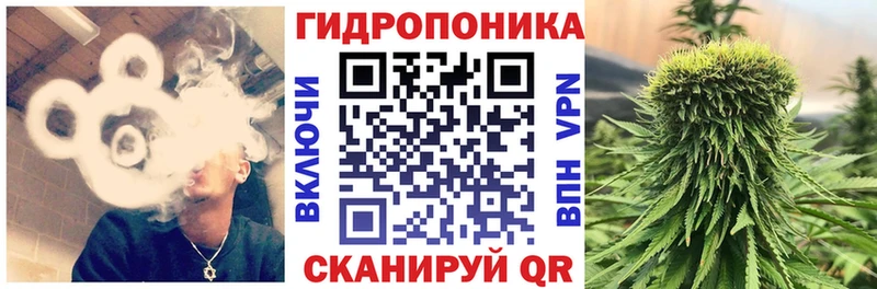 Бошки Шишки тримм Пустошка
